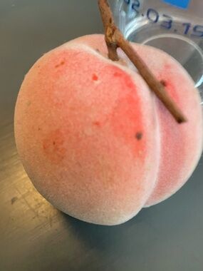 Faux food Fuzzy Peach Prop - Pink/Peach distressed